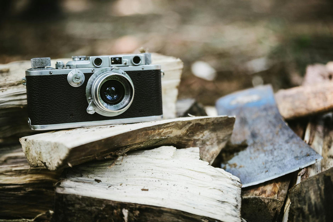 Rediscovered Attic Cameras 2025: From Dust to Art - Dutch|Thrift