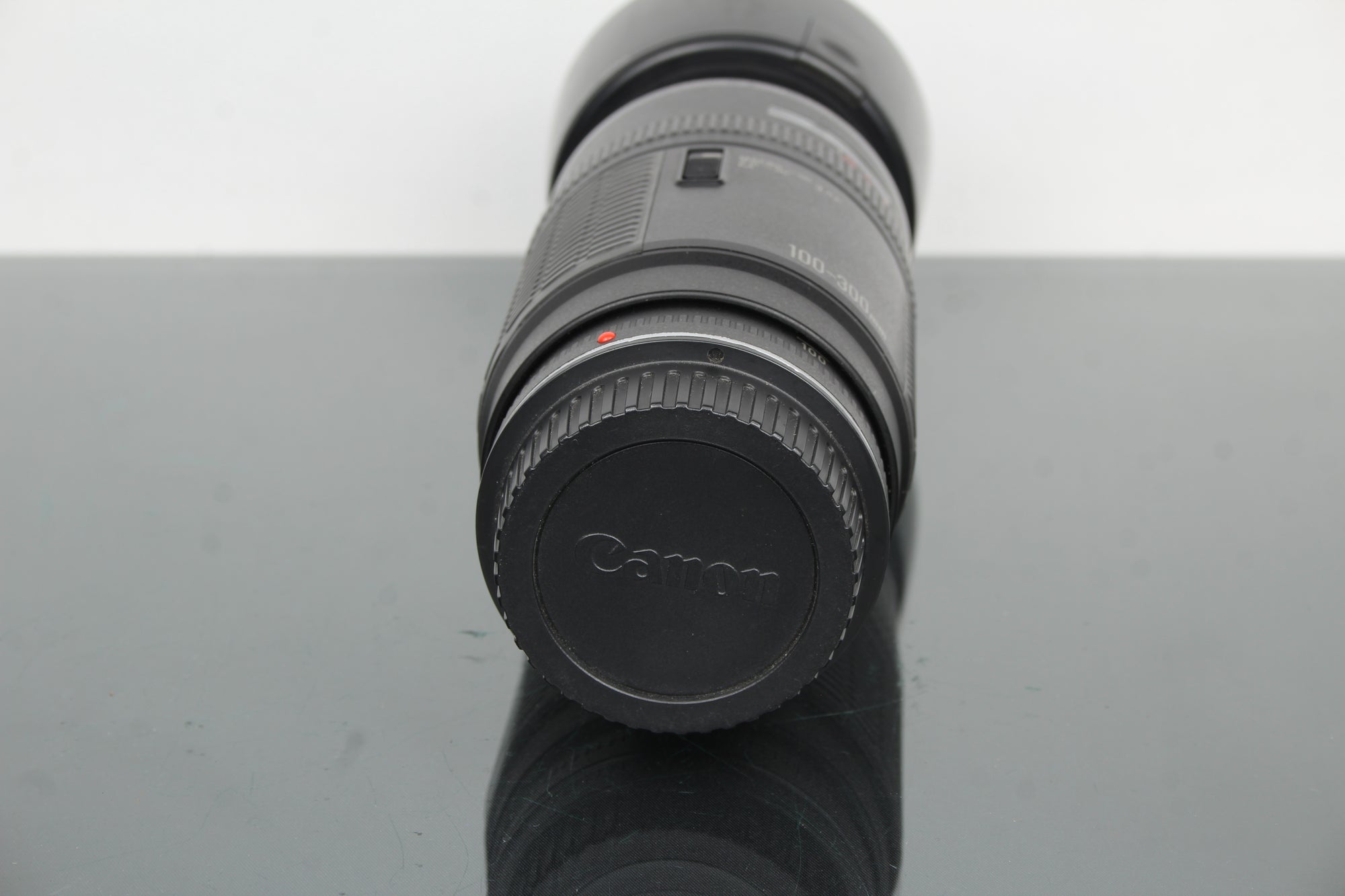 Canon Zoom Lens EF 100-300mm f/5.6 (EF Mount)