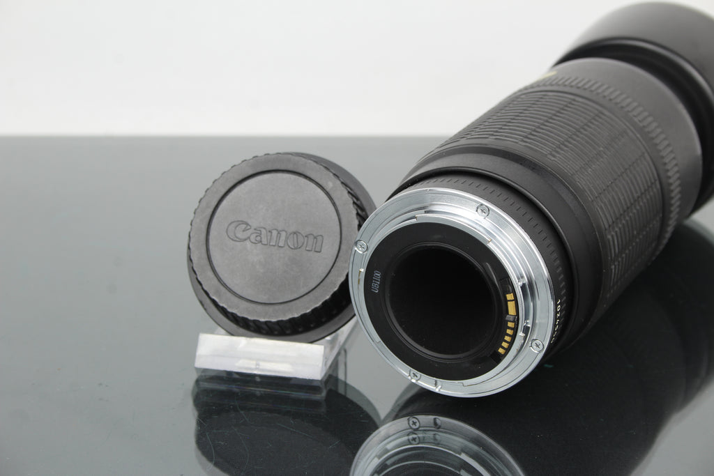 Canon Zoom Lens EF 100-300mm f/5.6 (EF Mount)
